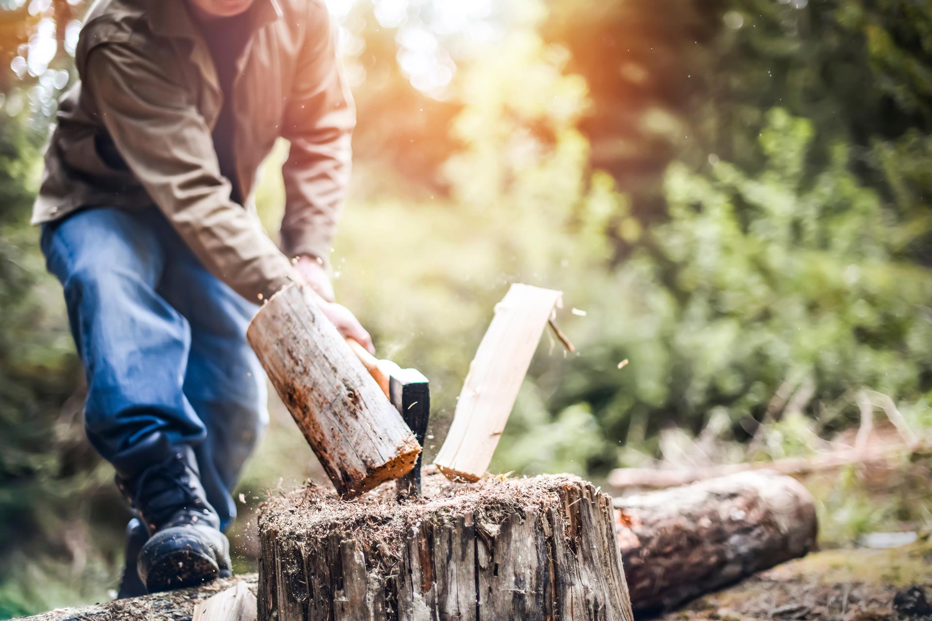 WOODCHOPPING_AdobeStock_353246613